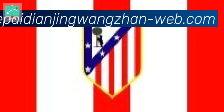 乐派电竞官方网站合作伙伴